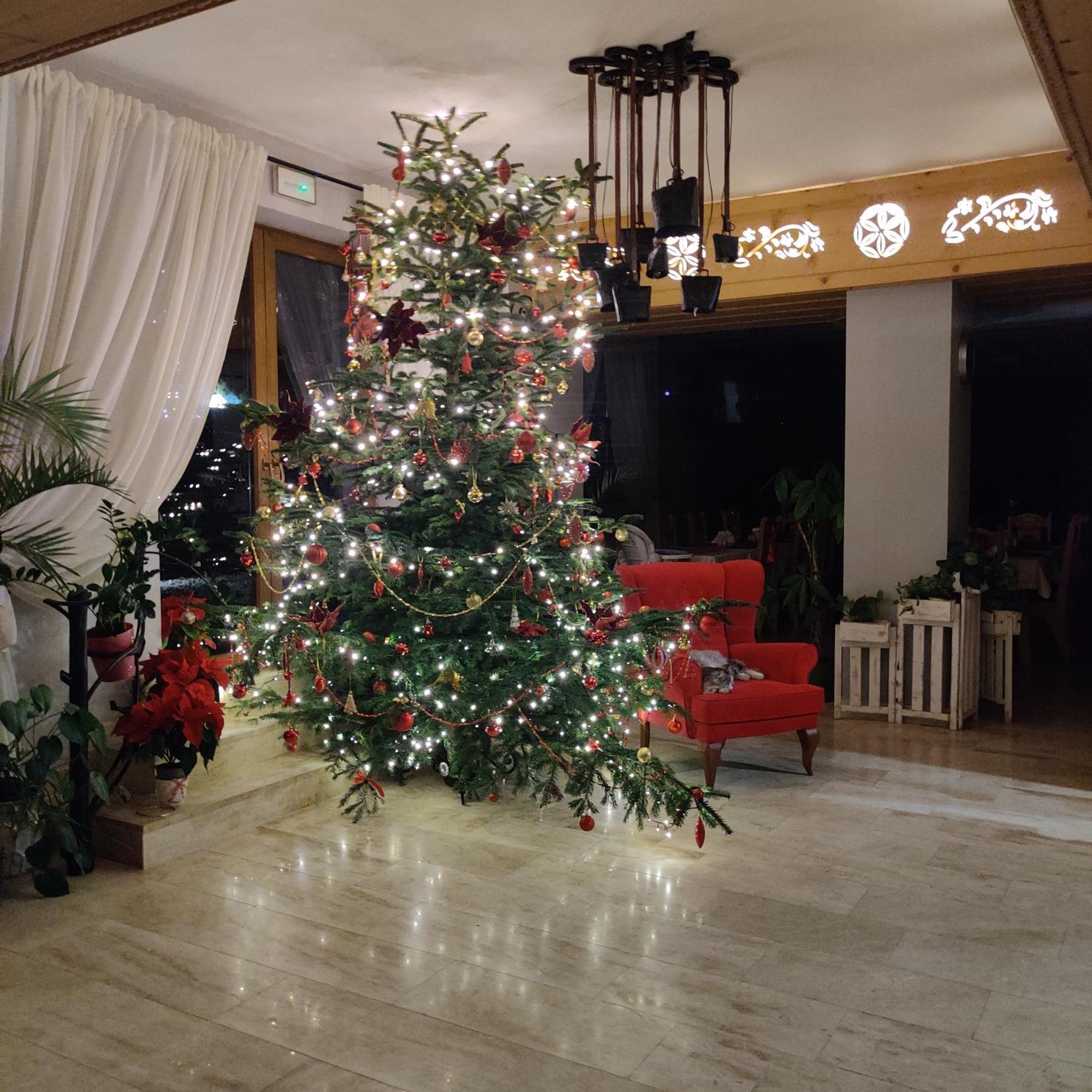 Eco Willa Karpatia Ski&Wellness Murzasichle Zewnętrze zdjęcie
