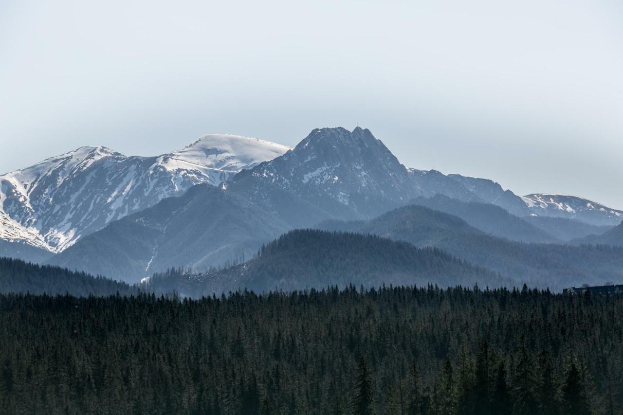 Eco Willa Karpatia Ski&Wellness Murzasichle Zewnętrze zdjęcie