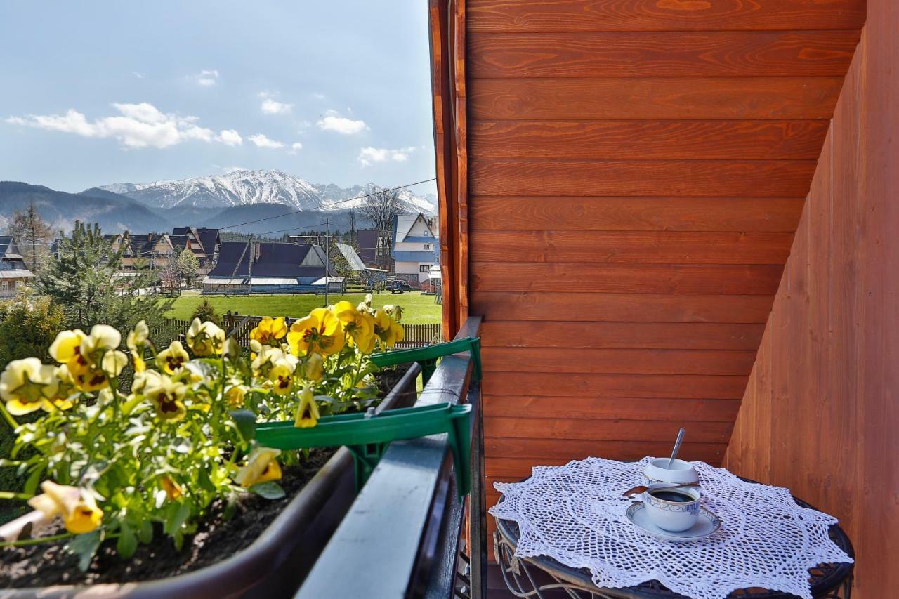Eco Willa Karpatia Ski&Wellness Murzasichle Zewnętrze zdjęcie